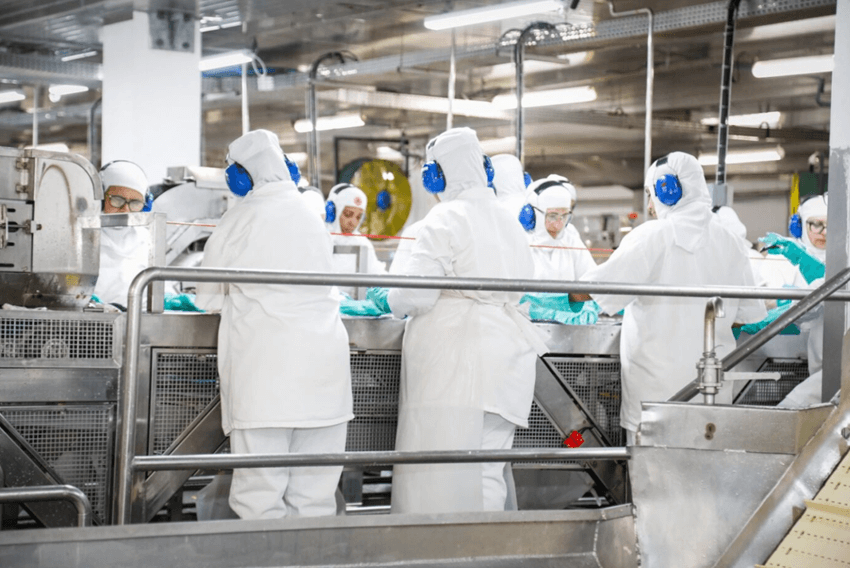 Nauterra tem feirões de emprego com mais de 100 vagas 