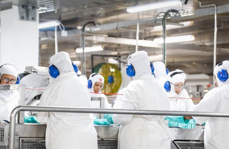 Nauterra se destaca com mais de 25 benefícios para contratação e retenção de funcionários 